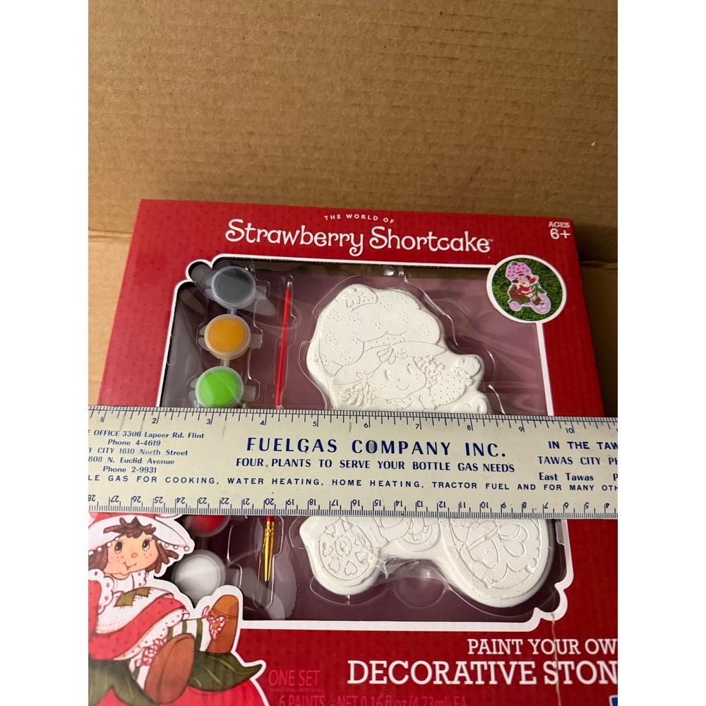 The World of Strawberry Shortcake Paint Your Own Decorative Stone Kit - Picture 5 of 5
